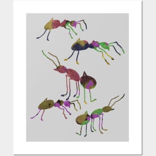 ants Posters and Art